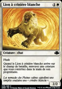 Lion  crinire blanche - 