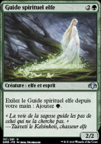 Guide spirituel elfe - 