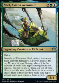 Nael, Avizoa Aeronaut - 