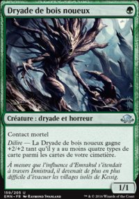 Dryade de bois noueux - 