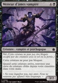 Meneur d'�mes vampire - Foundations