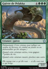 Guivre de Pelakka - Foundations