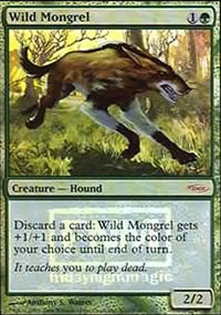 Wild Mongrel - 