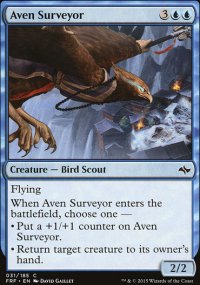 Aven Surveyor - 