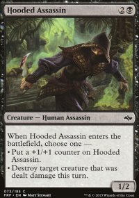 Hooded Assassin - 