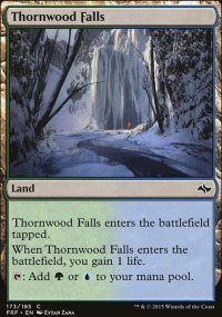 Thornwood Falls - 