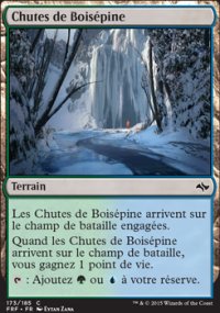 Chutes de Boispine - 