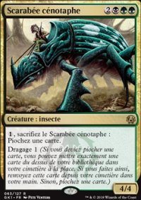 Scarabe cnotaphe - 