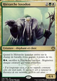 Hirarche loxodon - 