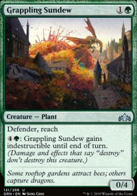 Grappling Sundew - 