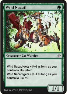 Wild Nacatl - 