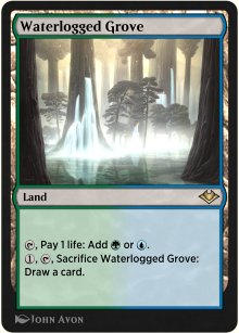 Waterlogged Grove - 