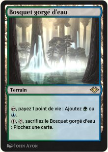 Bosquet gorg d'eau - 