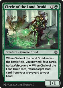 Circle of the Land Druid - 