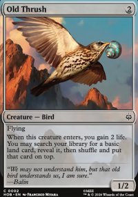 Old Thrush - The Hobbit