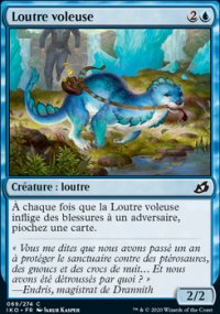 Loutre voleuse - 