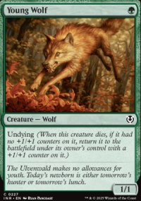 Young Wolf - Innistrad Remastered