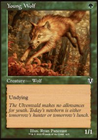 Young Wolf - Innistrad Remastered