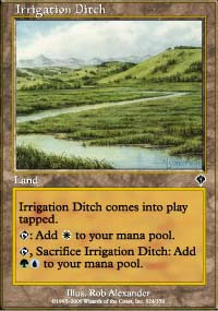 Canal d'irrigation - Invasion