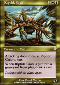 Crabe du reflux - Invasion