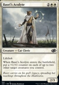 Basri's Acolyte - 