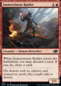 Immersturm Raider - 