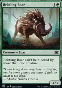 Bristling Boar - 