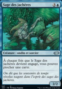 Sage des jachres - 