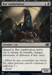 Rat cambrioleur - 