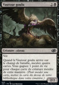 Vautour goulu - 