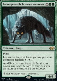 Embusqueur de la meute nocturne - 