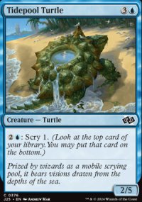 Tidepool Turtle - Jumpstart 2025