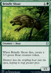 Brindle Shoat - 