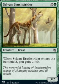 Sylvan Brushstrider - 