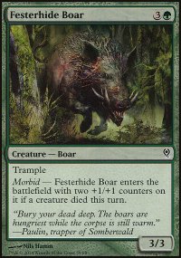 Festerhide Boar - 