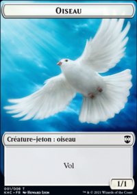 Oiseau - 