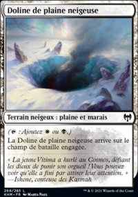 Doline de plaine neigeuse - 