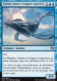 Baleine volante  longues nageoires - 