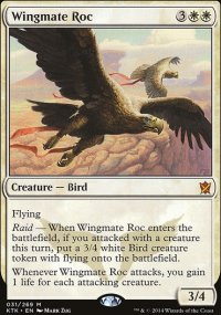 Wingmate Roc - 