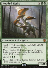 Hooded Hydra - 