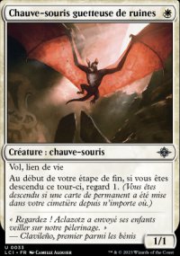 Chauve-souris guetteuse de ruines - 