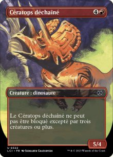 Cratops dchan - 