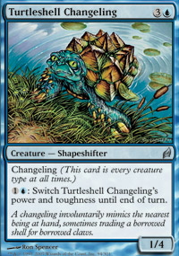 Turtleshell Changeling - 