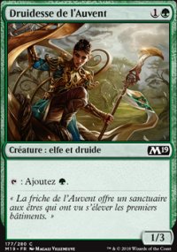 Druidesse de l'Auvent - 