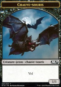 Chauve-souris - 