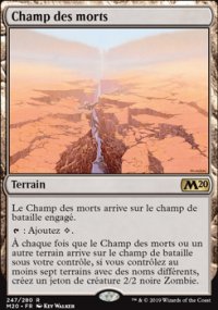 Champ des morts - 