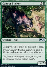 Canopy Stalker - 