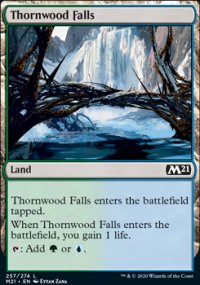 Thornwood Falls - 