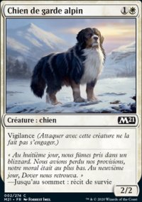 Chien de garde alpin - 