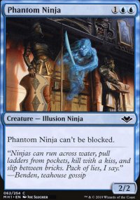 Phantom Ninja - 